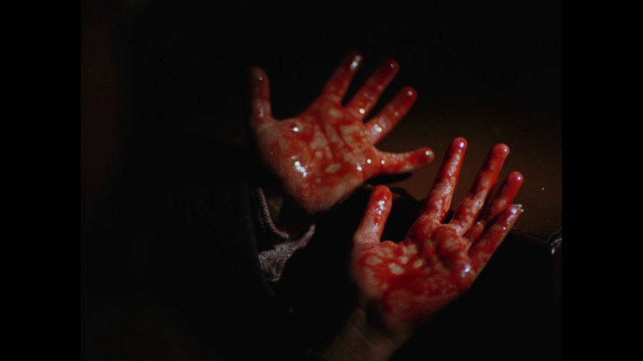 Screen capture from Revenge / Limite