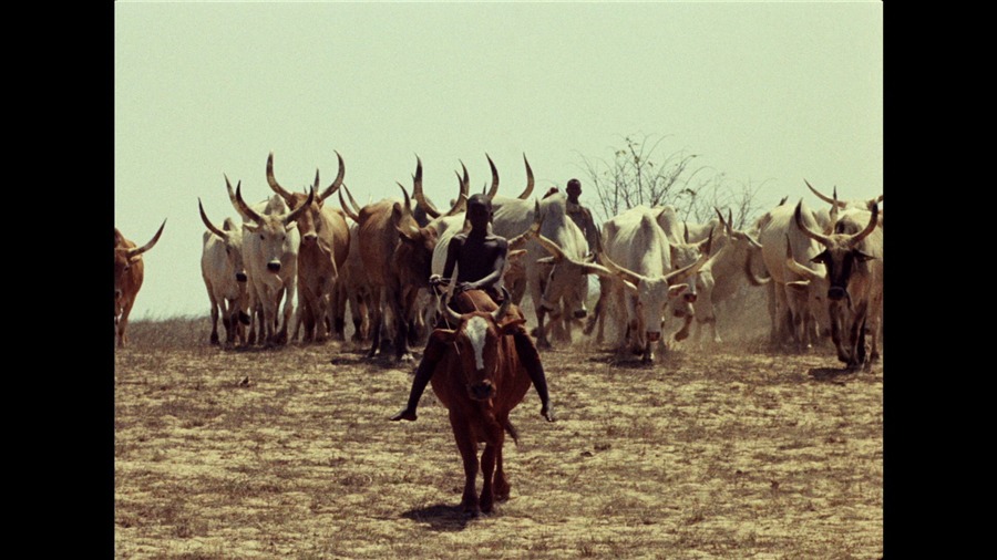 Screen capture from Touki bouki