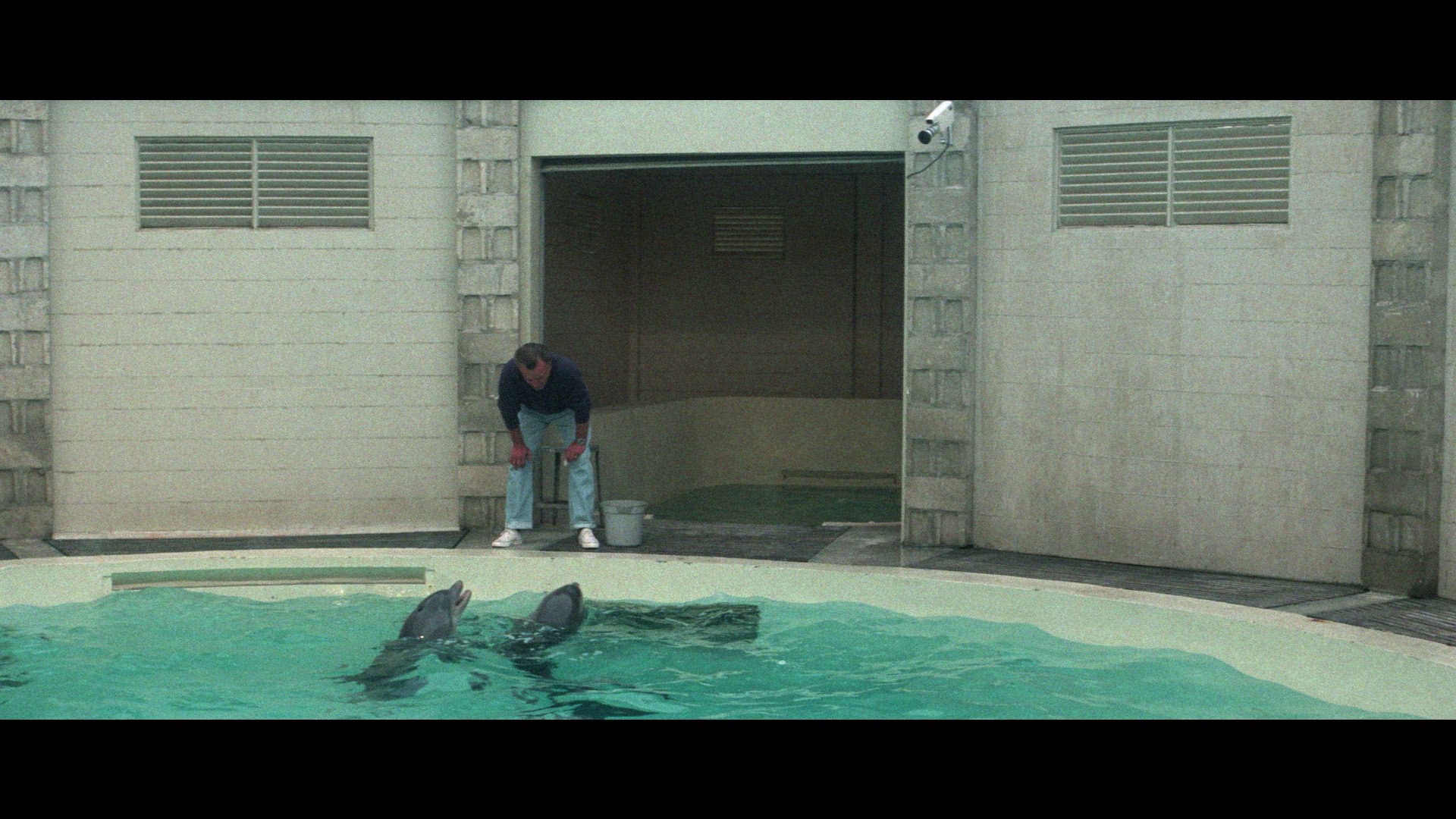 Screen capture from The Day of the Dolphin