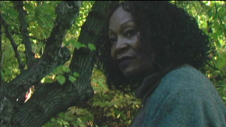 Screen capture from Symbiopsychotaxiplasm: Two Takes by William Greaves