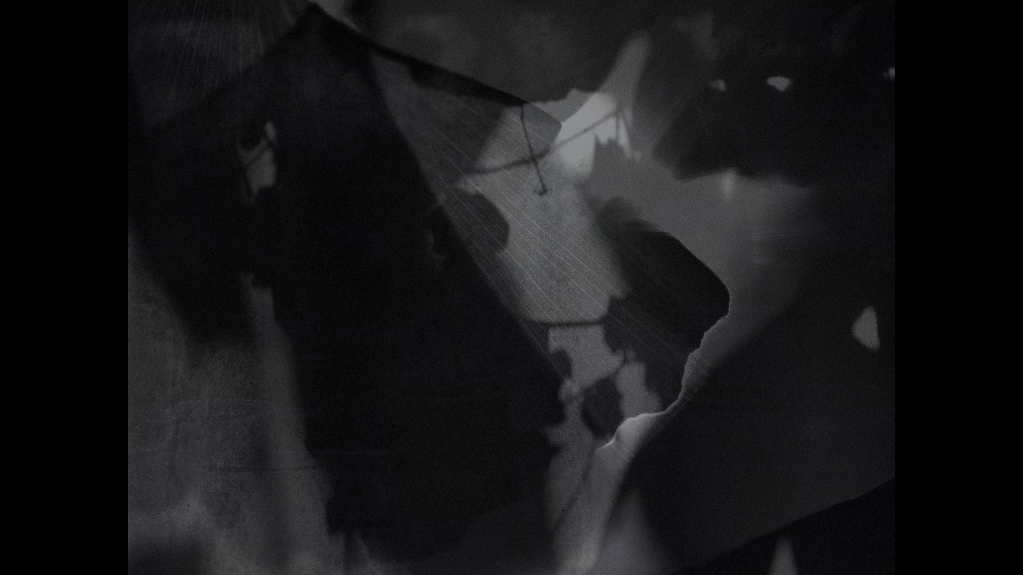 Screen capture from Perfect Days
