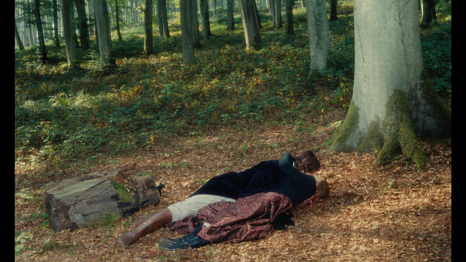 Screen capture from Madame Bovary