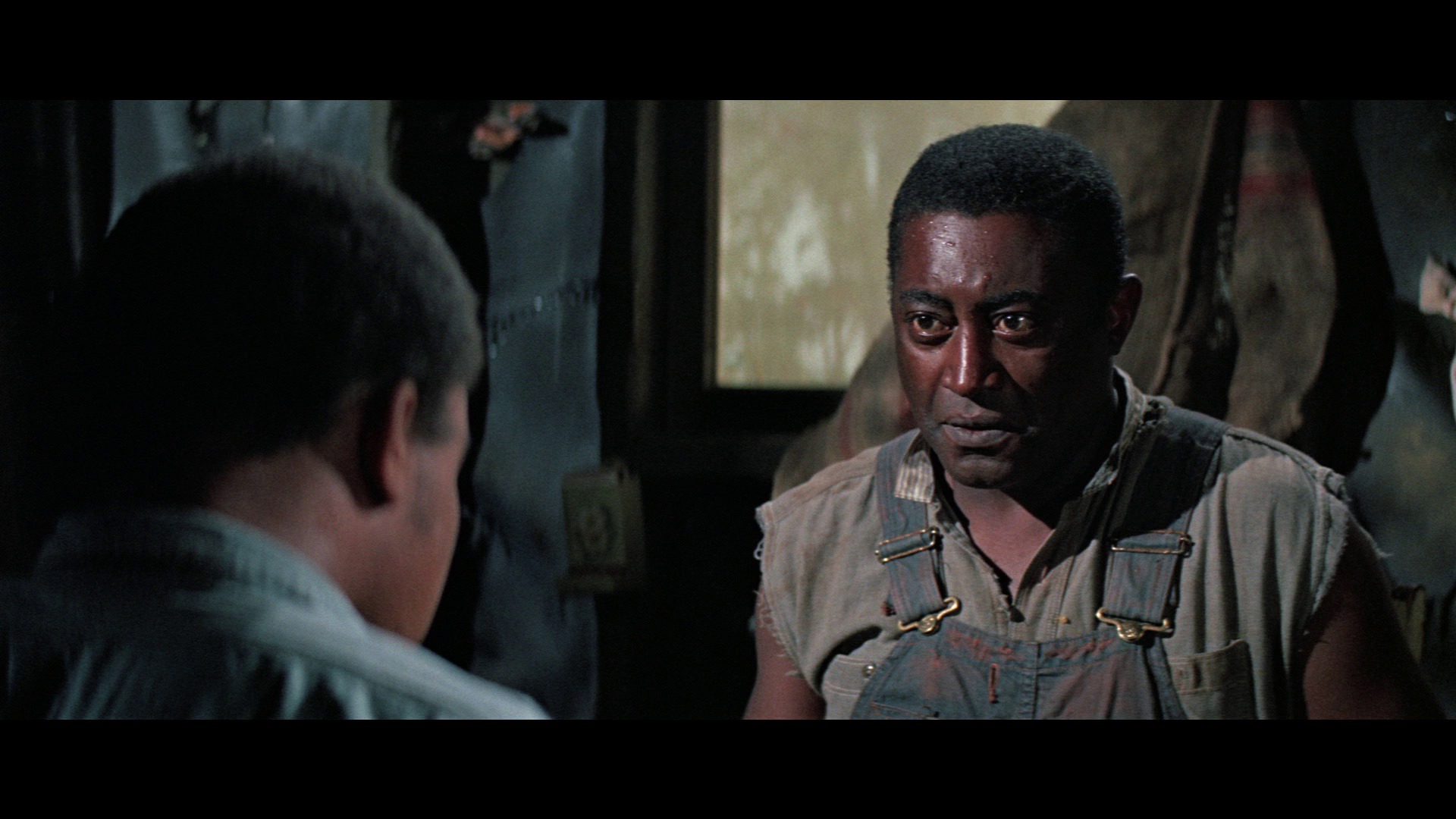 Screen capture from The Learning Tree