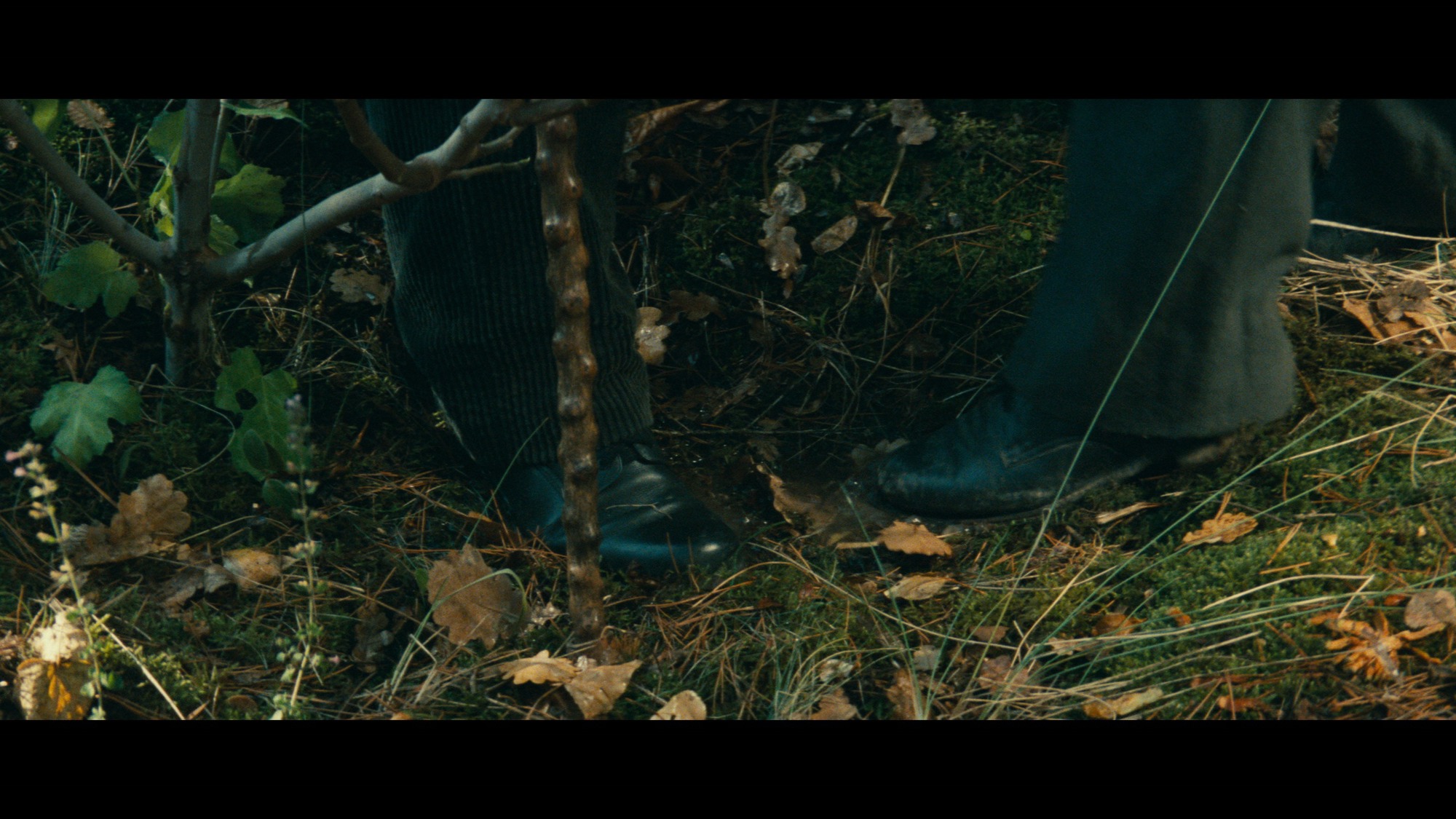 Screen capture from Jean de Florette / Manon of the Spring: Two Films by Claude Berri