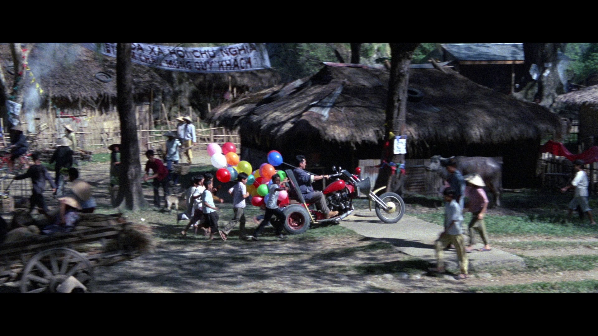 Screen capture from Eastern Condors