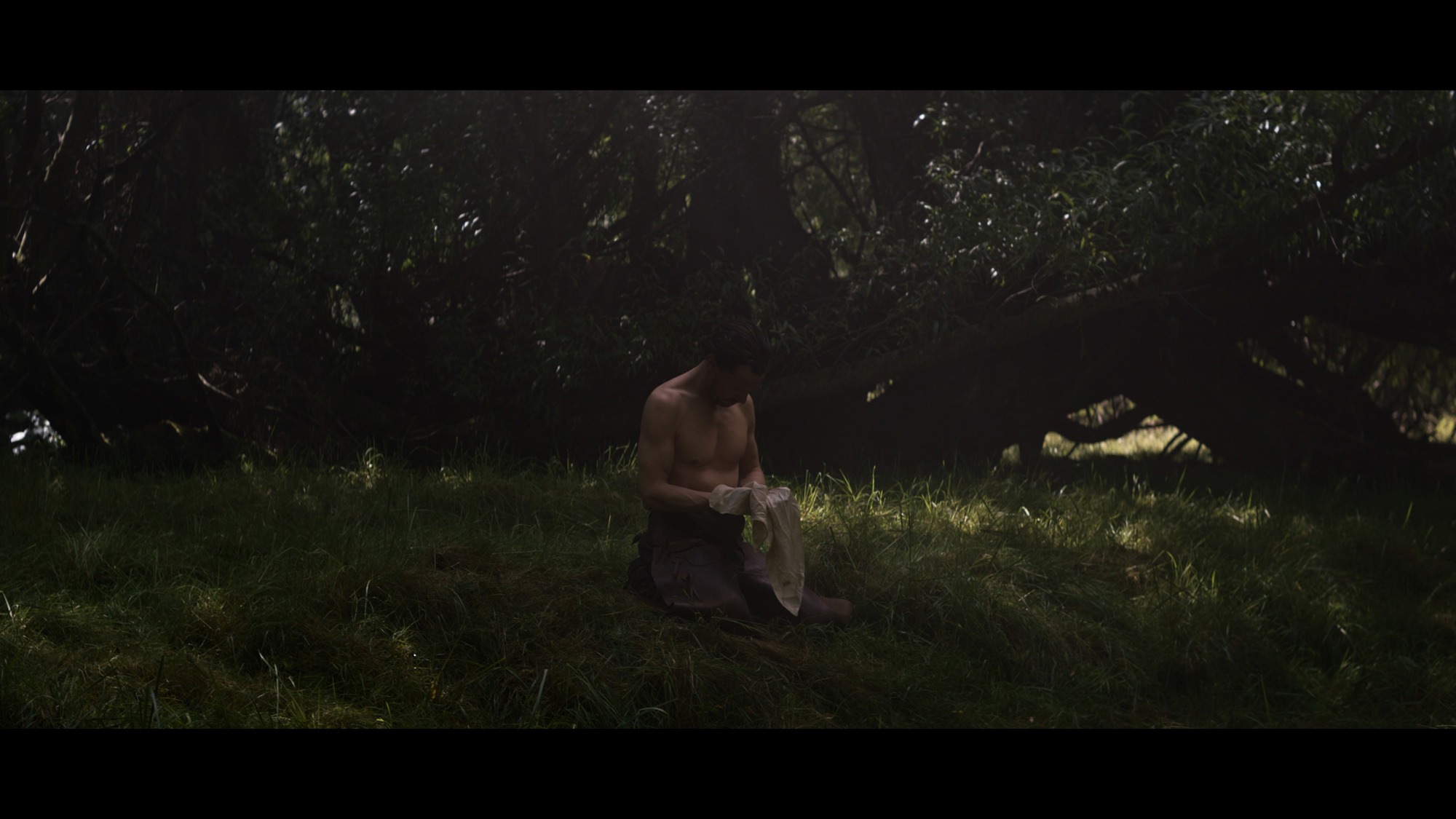 Screen capture from The Power of the Dog