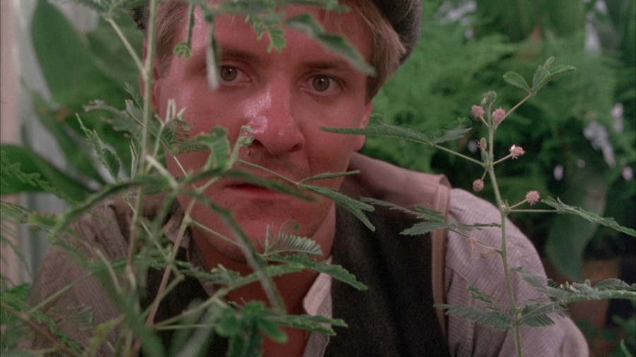 Screen capture from Picnic at Hanging Rock