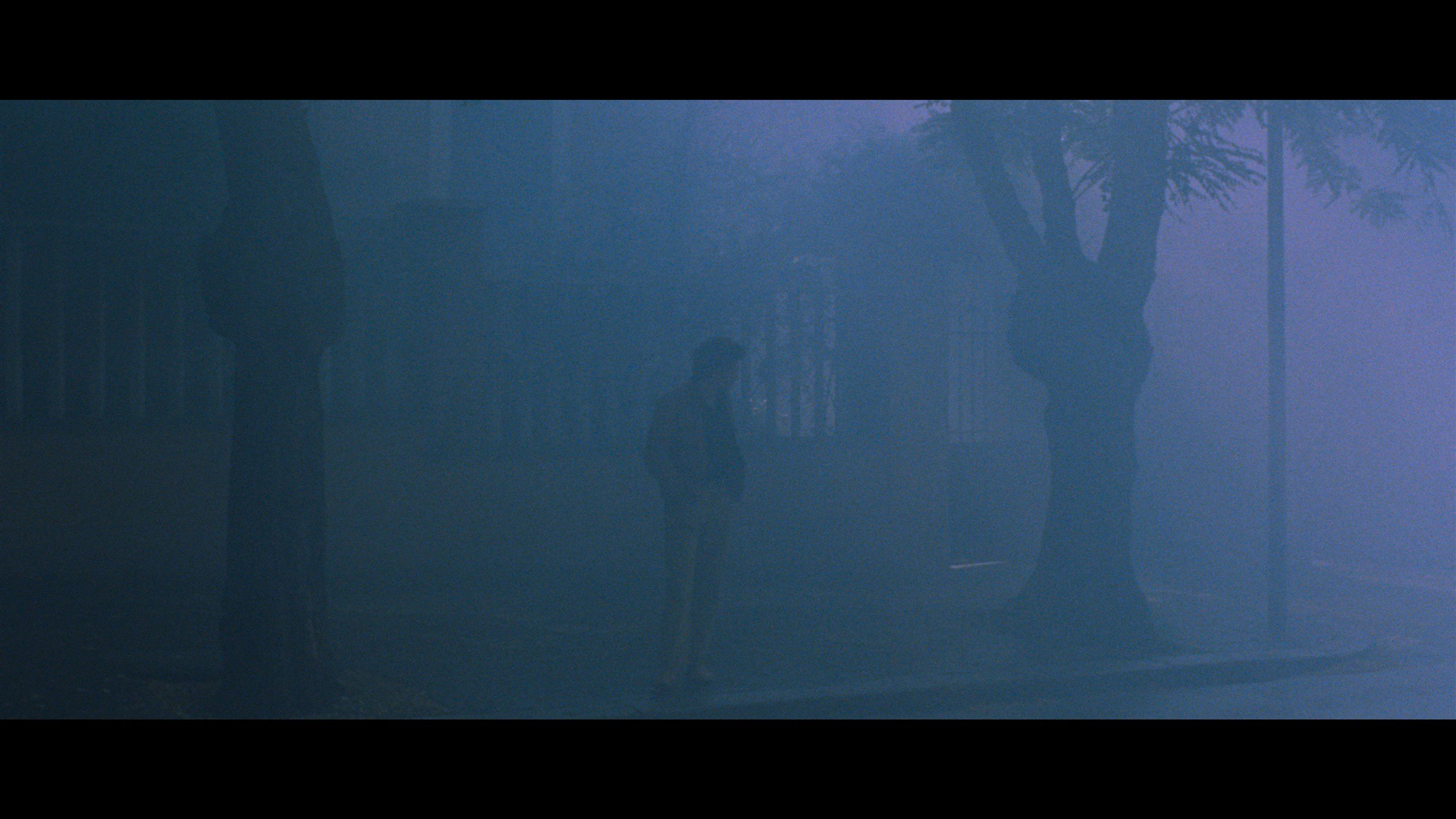 Screen capture from The Bird with the Crystal Plumage
