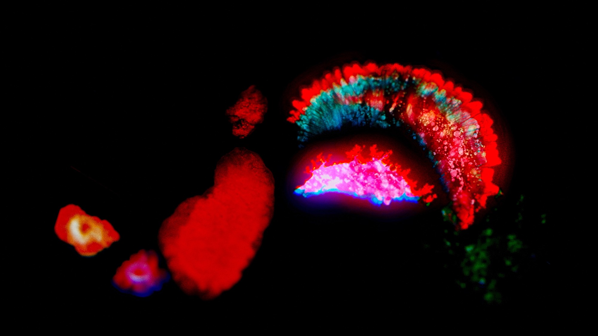 Screen capture from Moonage Daydream