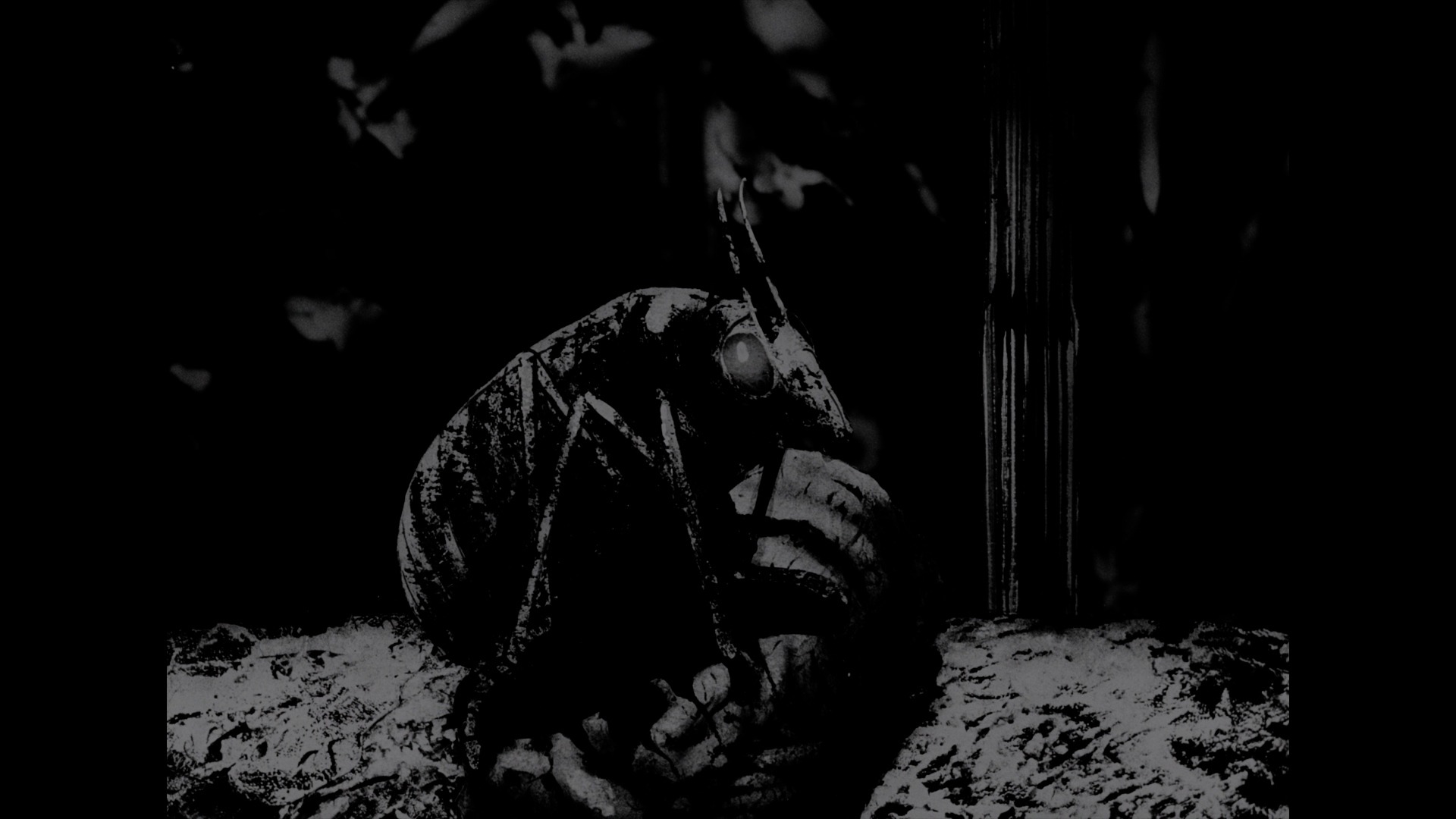 Screen capture from Essential Polish Animation