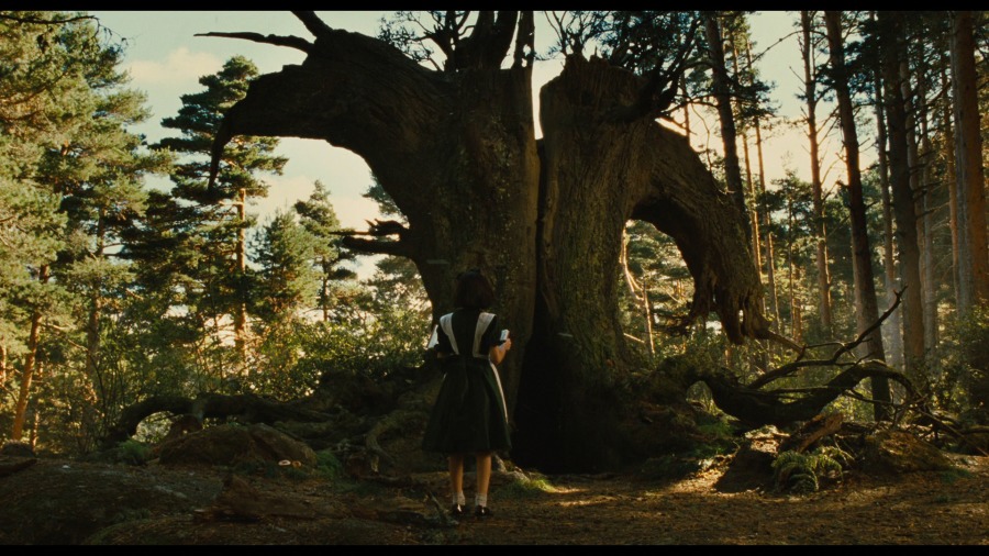 Screen capture from Pan's Labyrinth