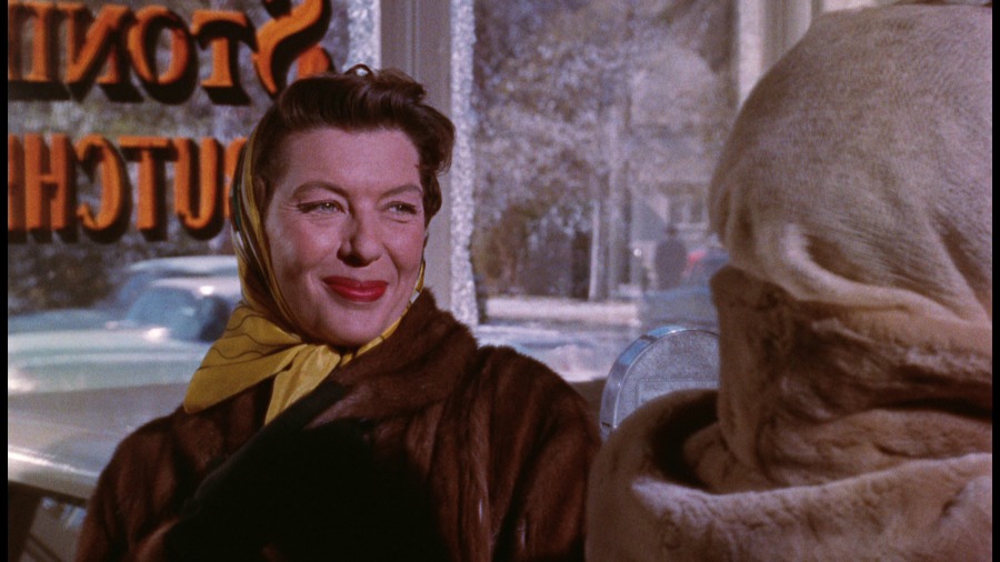 Screen capture from All That Heaven Allows