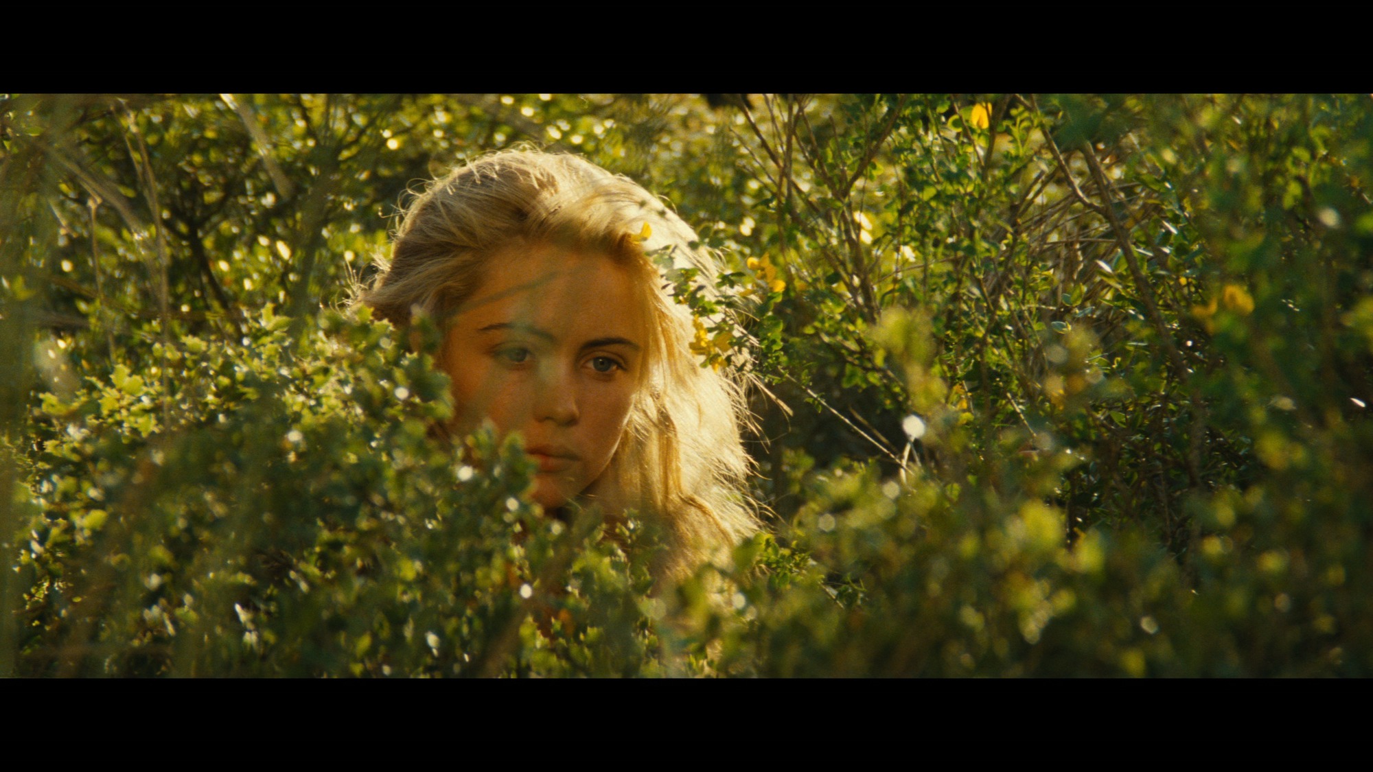 Screen capture from Jean de Florette / Manon of the Spring: Two Films by Claude Berri