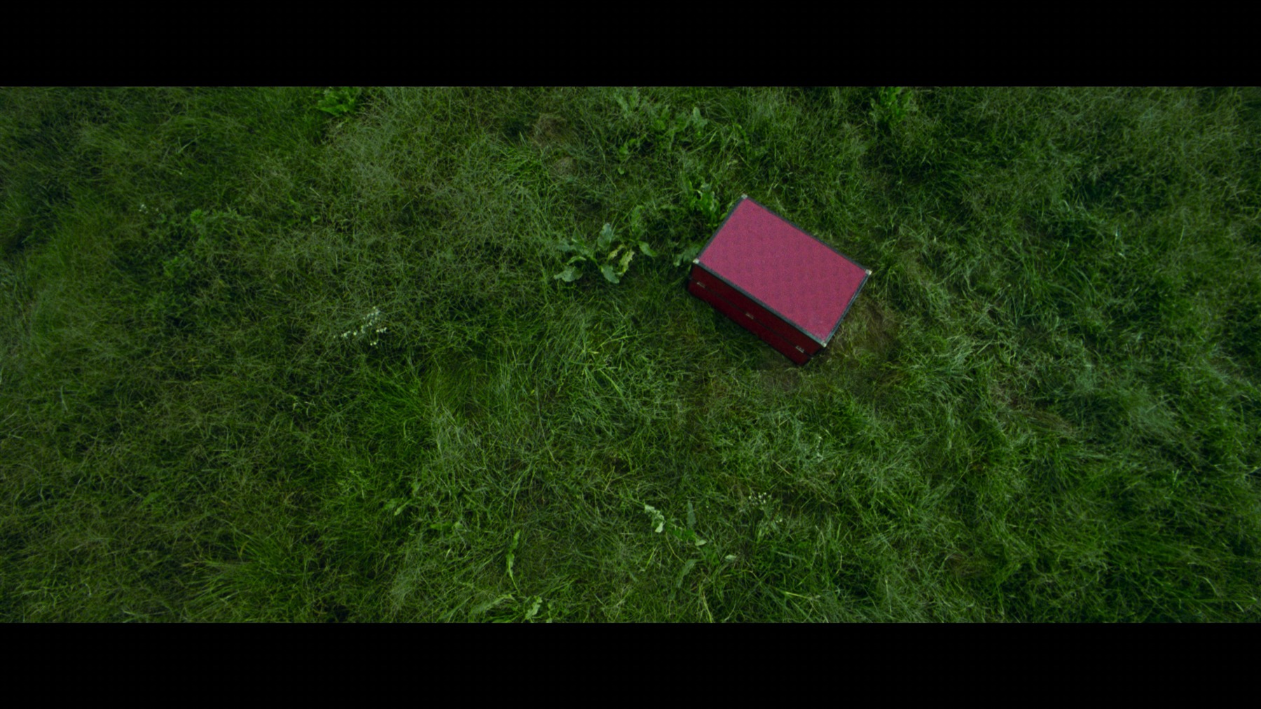 Screen capture from Oldboy