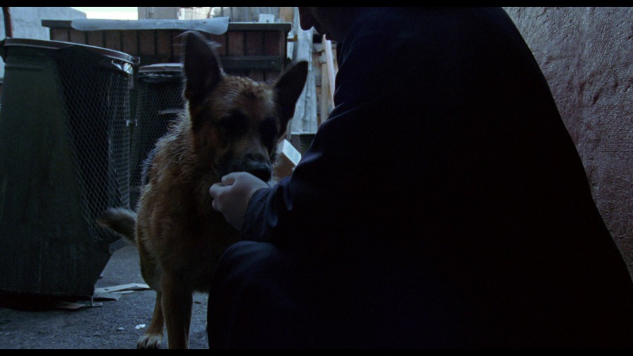 Screen capture from Insomnia