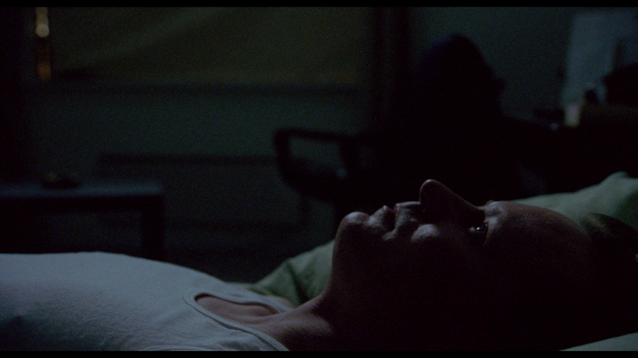 Screen capture from Insomnia