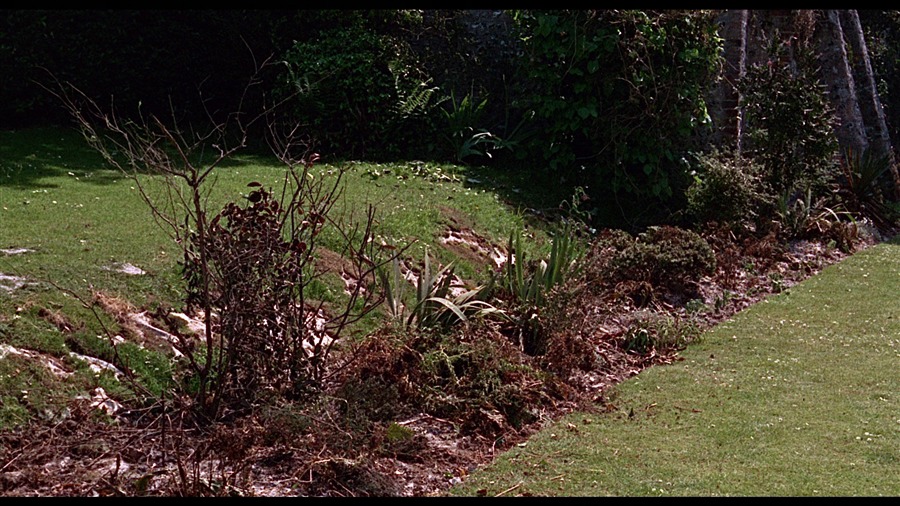 Screen capture from The Chalk Garden