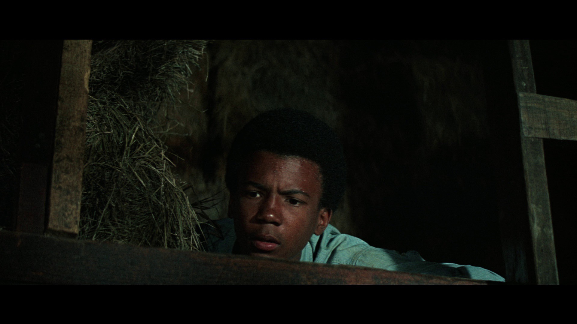 Screen capture from The Learning Tree