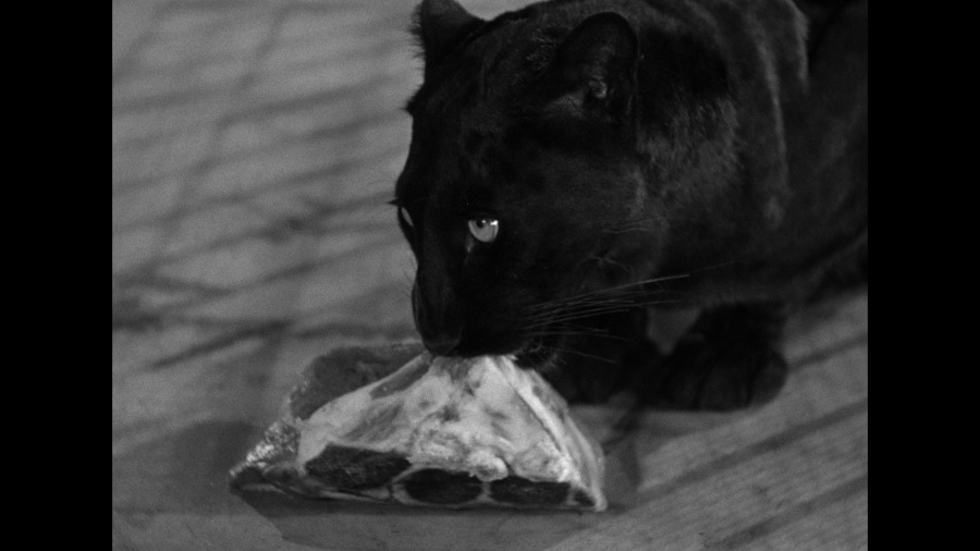 Screen capture from Cat People