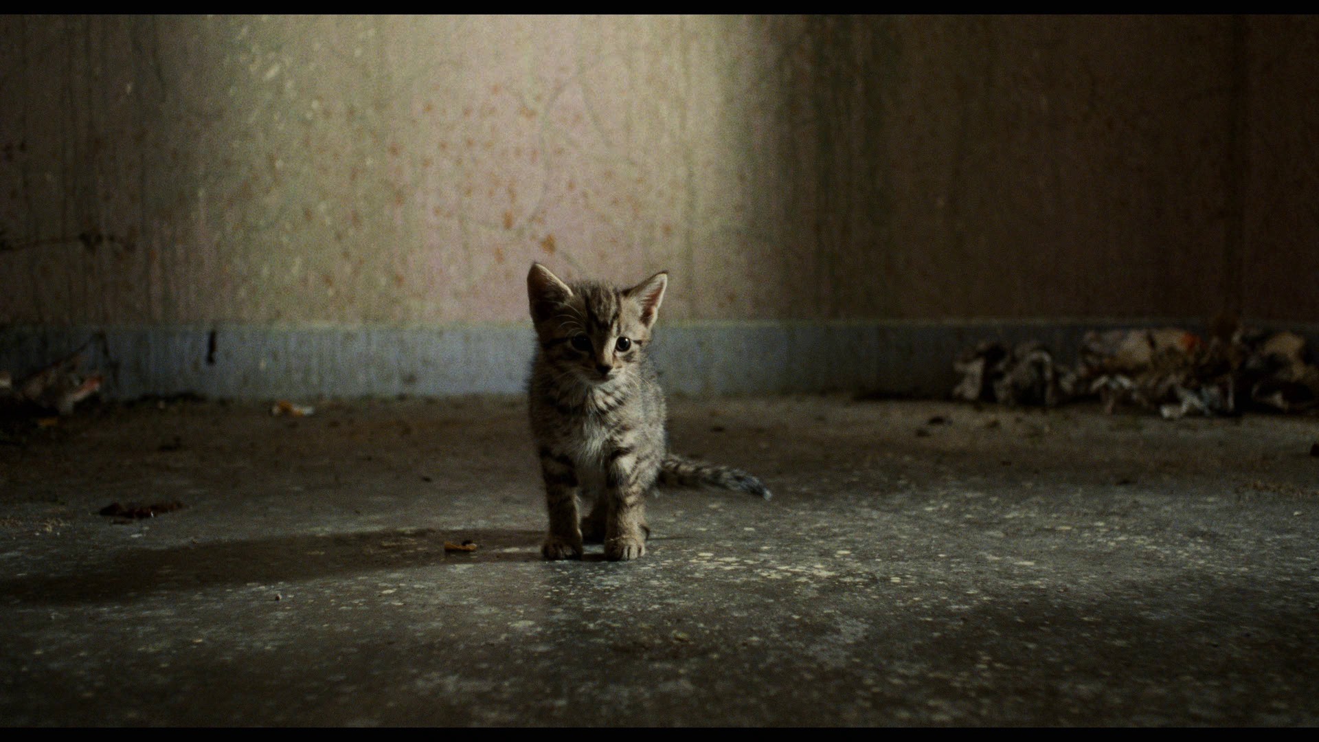 Screen capture from Trainspotting