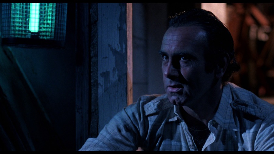 Screen capture from Blood Simple