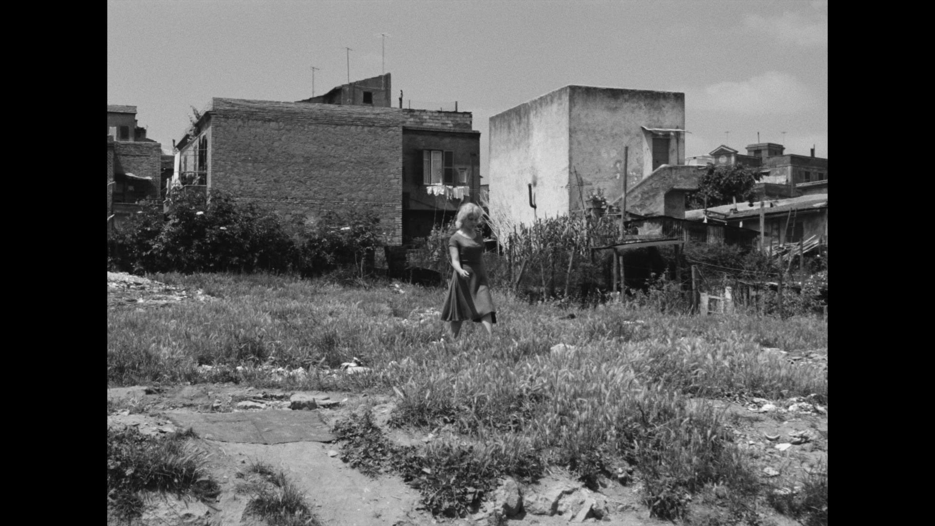 Screen capture from Pasolini 101