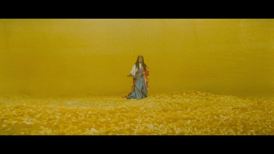 Screen capture from The Mad Fox