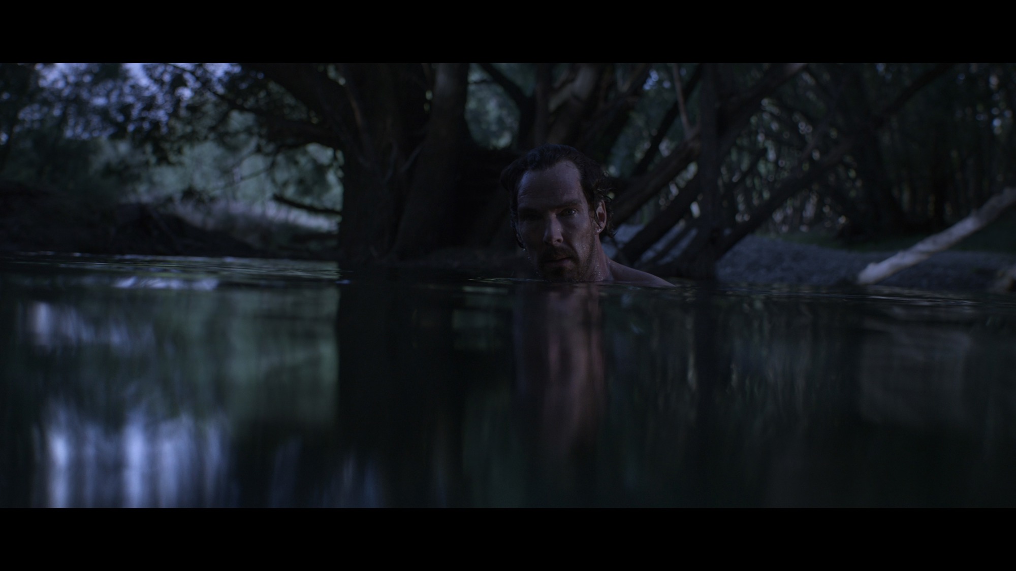 Screen capture from The Power of the Dog