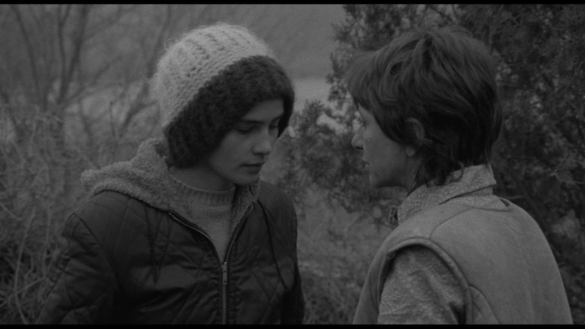 Screen capture from Adoption