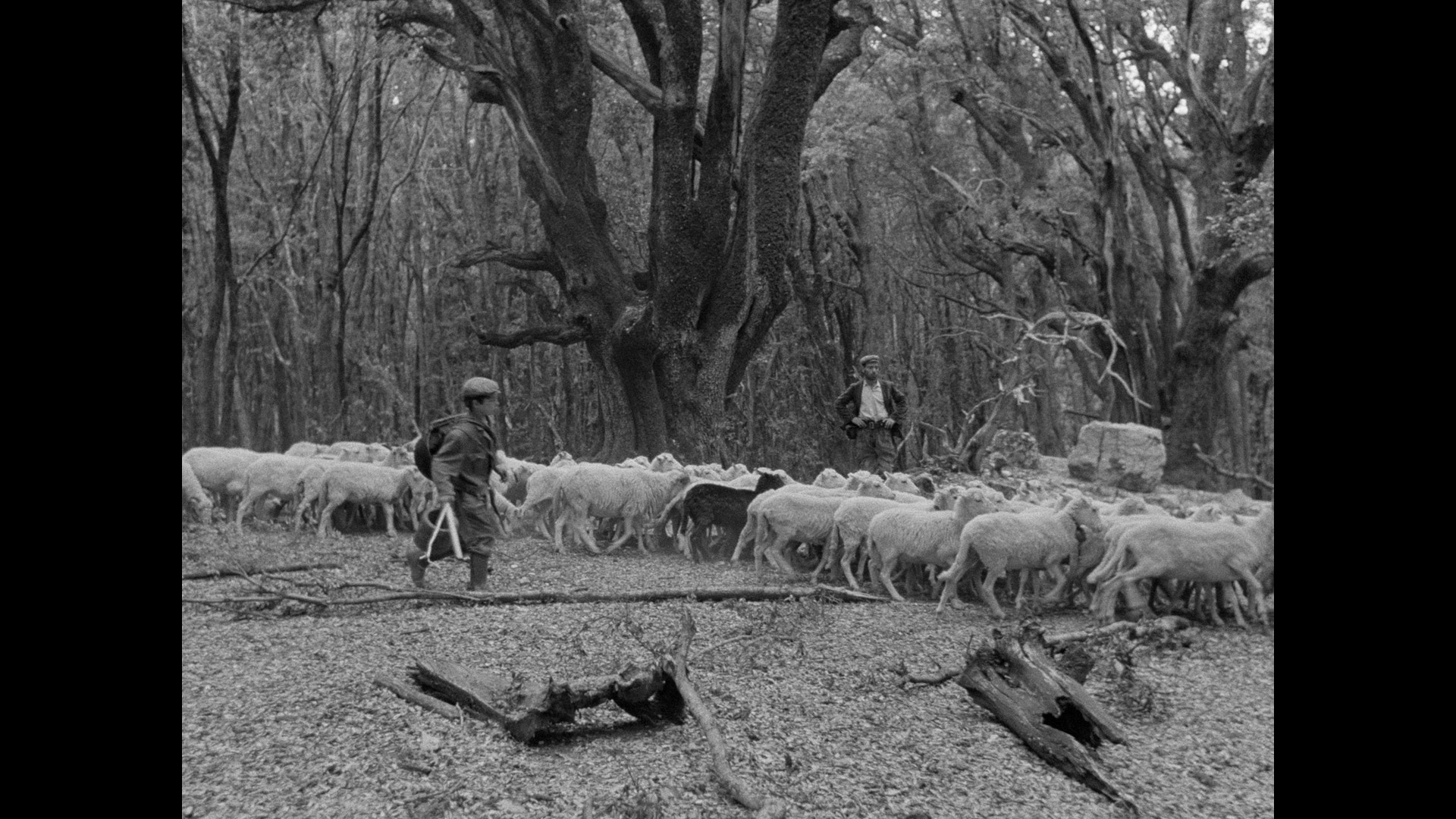 Screen capture from Bandits of Orgosolo