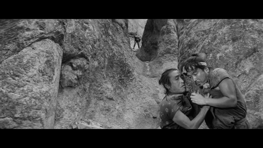 Screen capture from The Hidden Fortress
