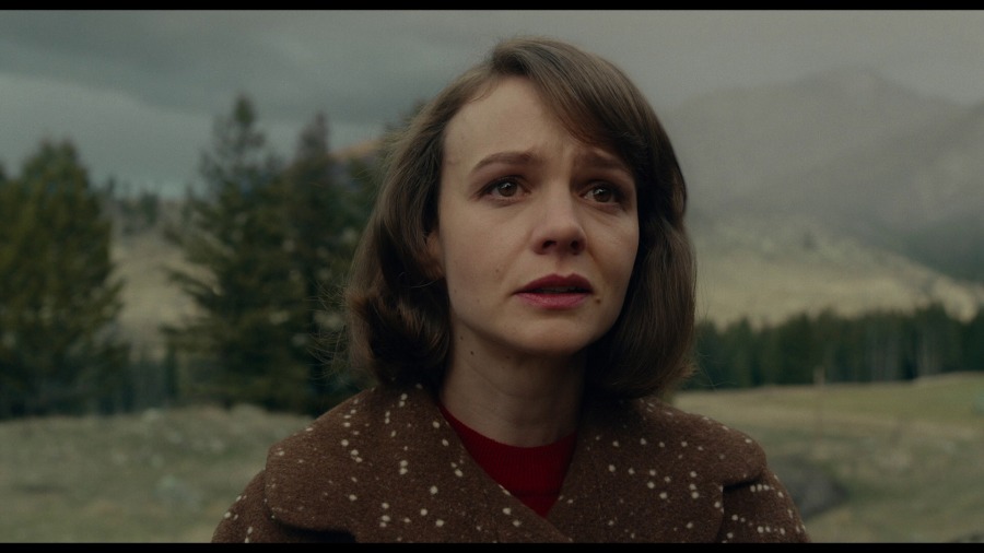 Screen capture from Wildlife