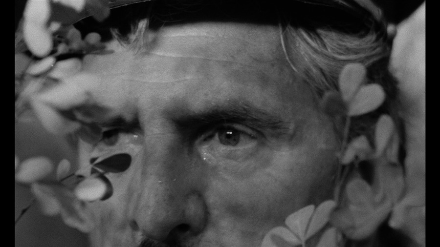 Screen capture from Mouchette