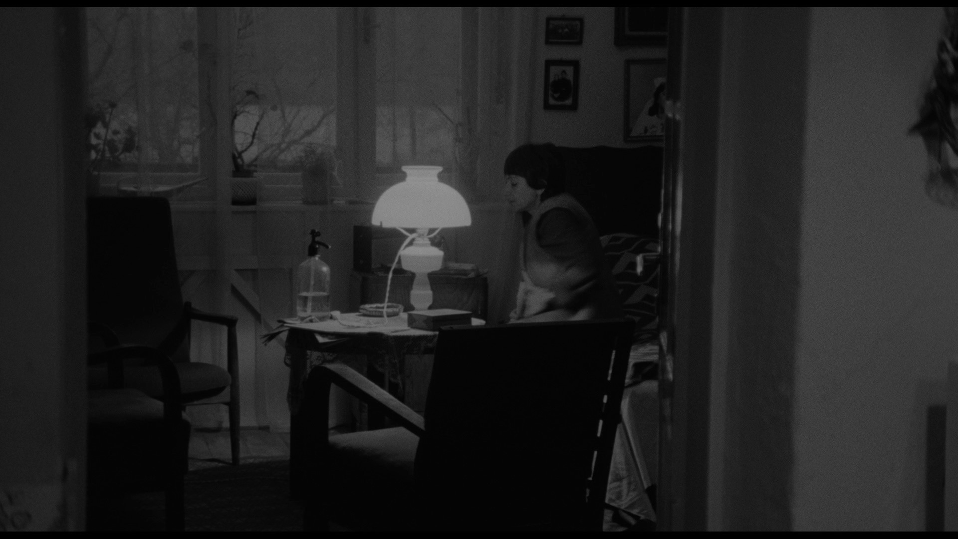 Screen capture from Adoption