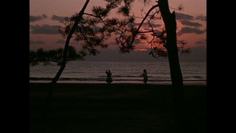 Screen capture from The Samurai Trilogy
