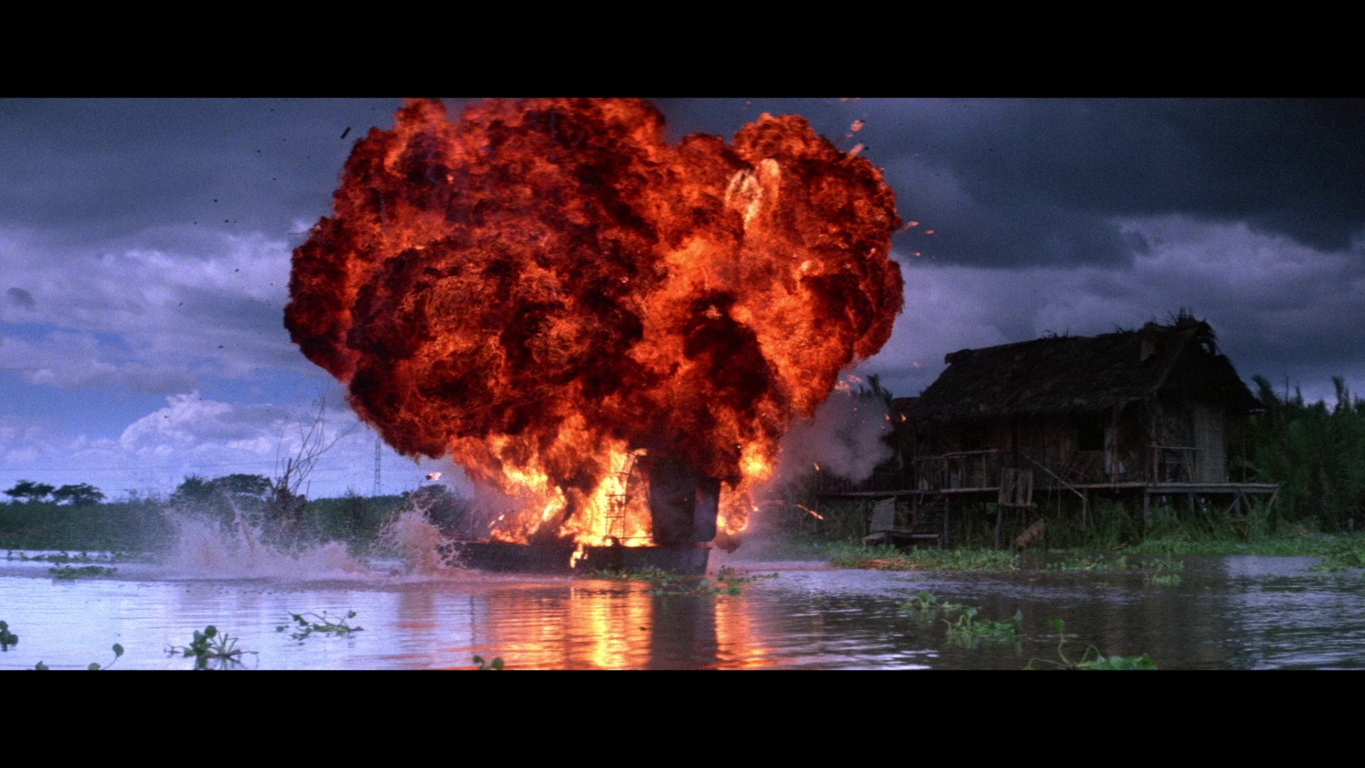 Screen capture from Eastern Condors