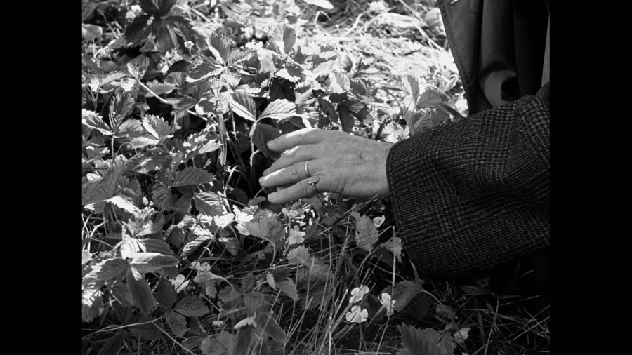 Screen capture from Wild Strawberries