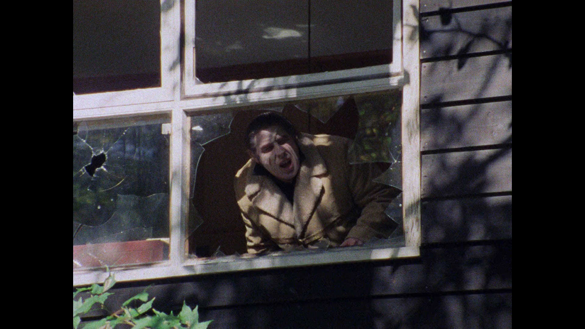 Screen capture from Weird Wisconsin: The Bill Rebane Collection