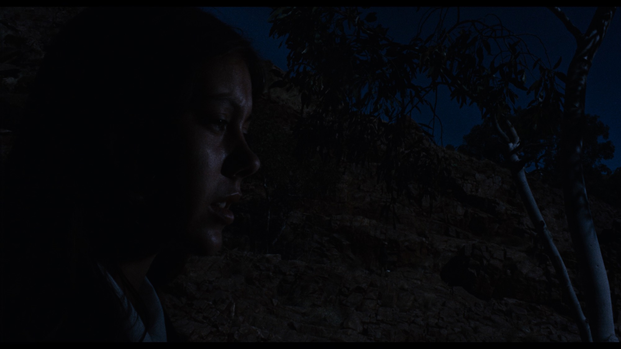 Screen capture from Walkabout
