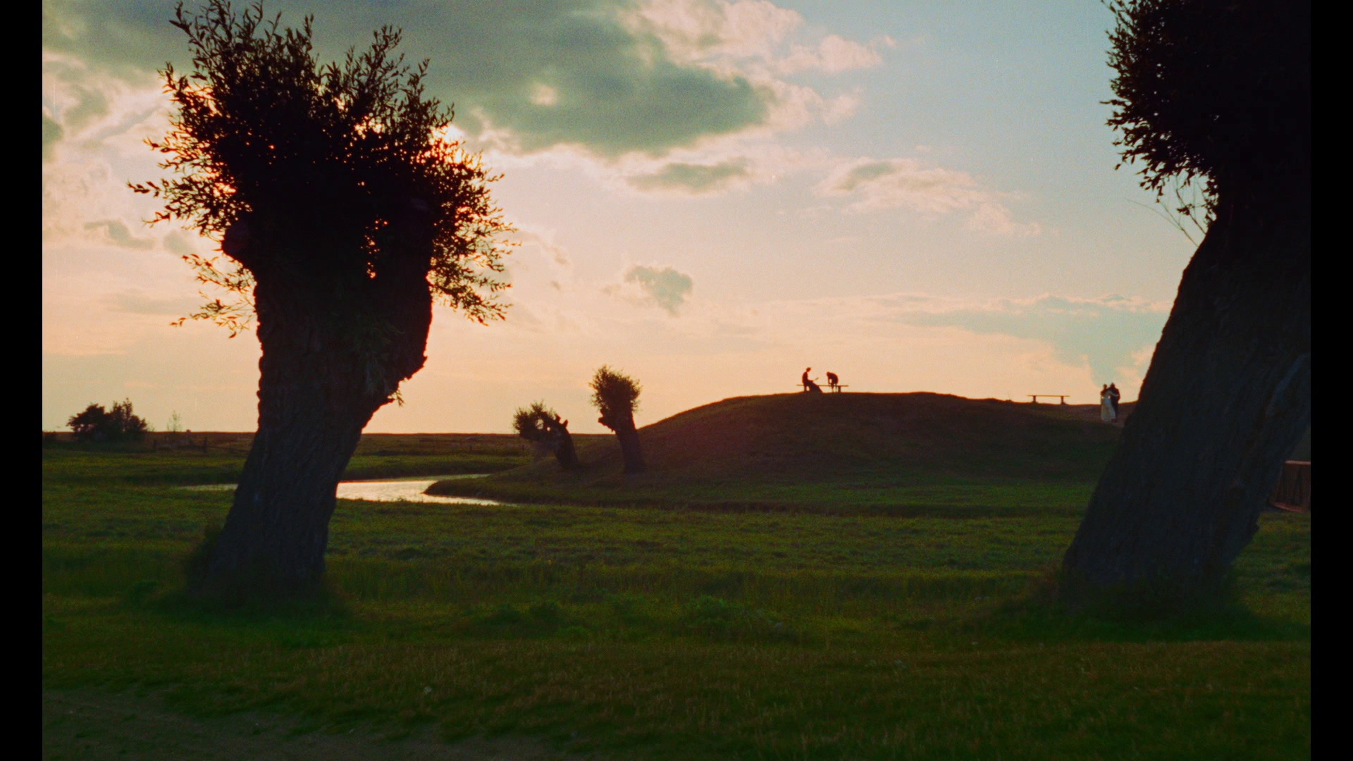 Screen capture from Bo Widerberg’s New Swedish Cinema