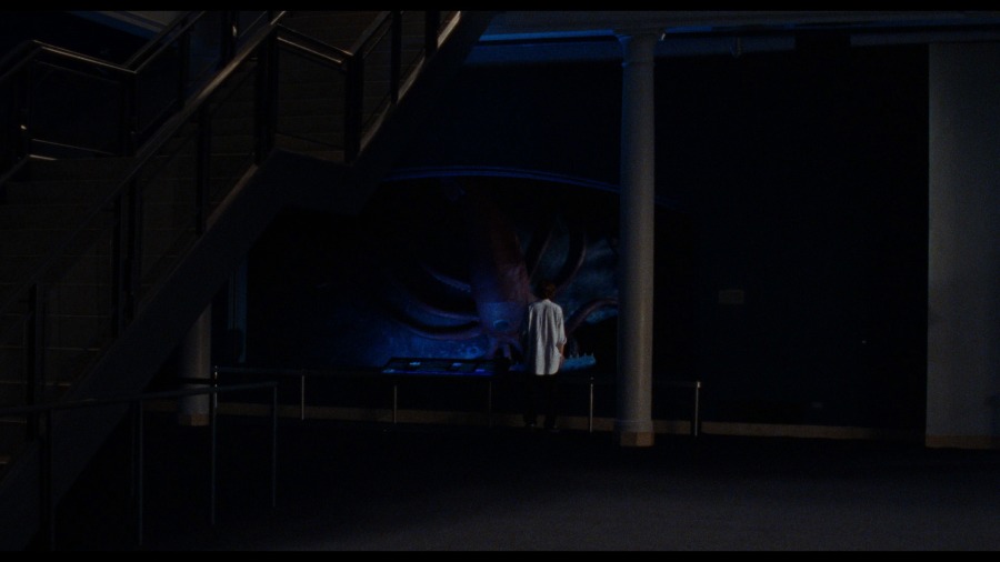 Screen capture from The Squid and the Whale