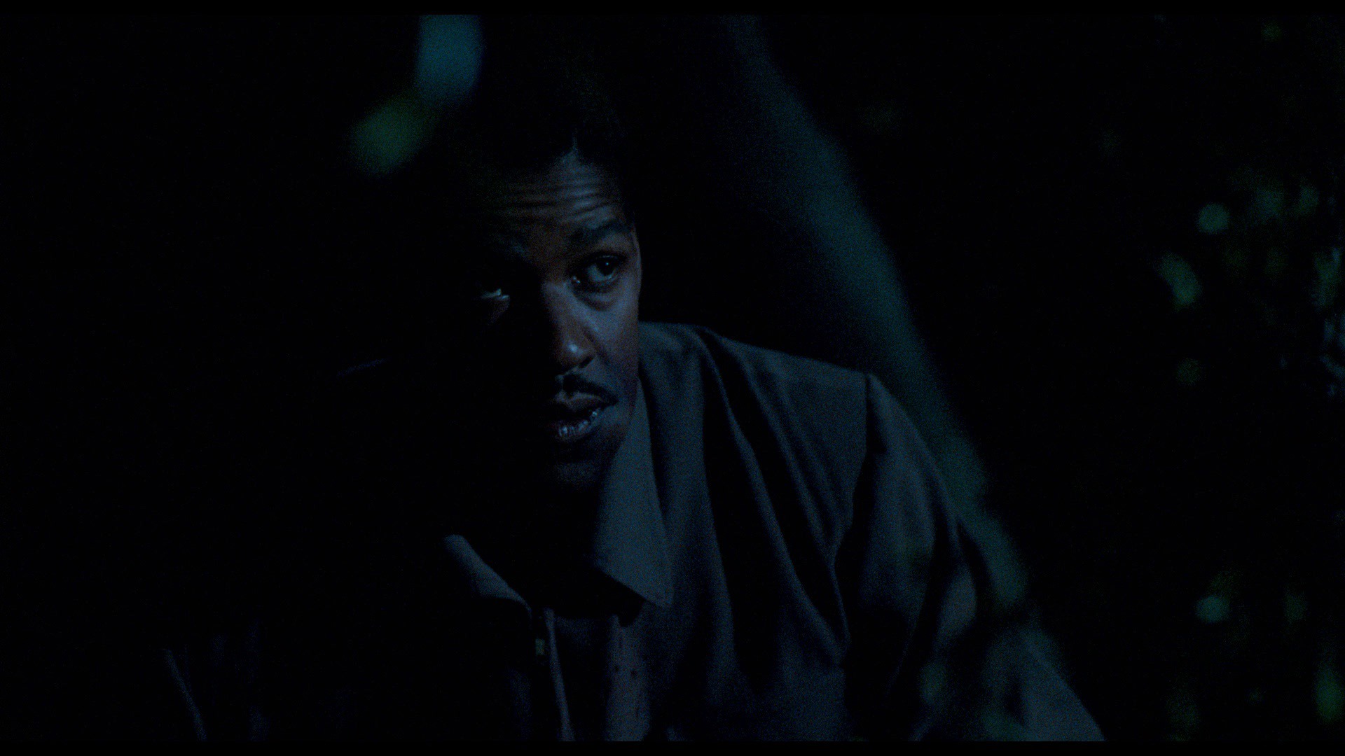 Devil in a Blue Dress Blu-ray Review :: Criterion Forum