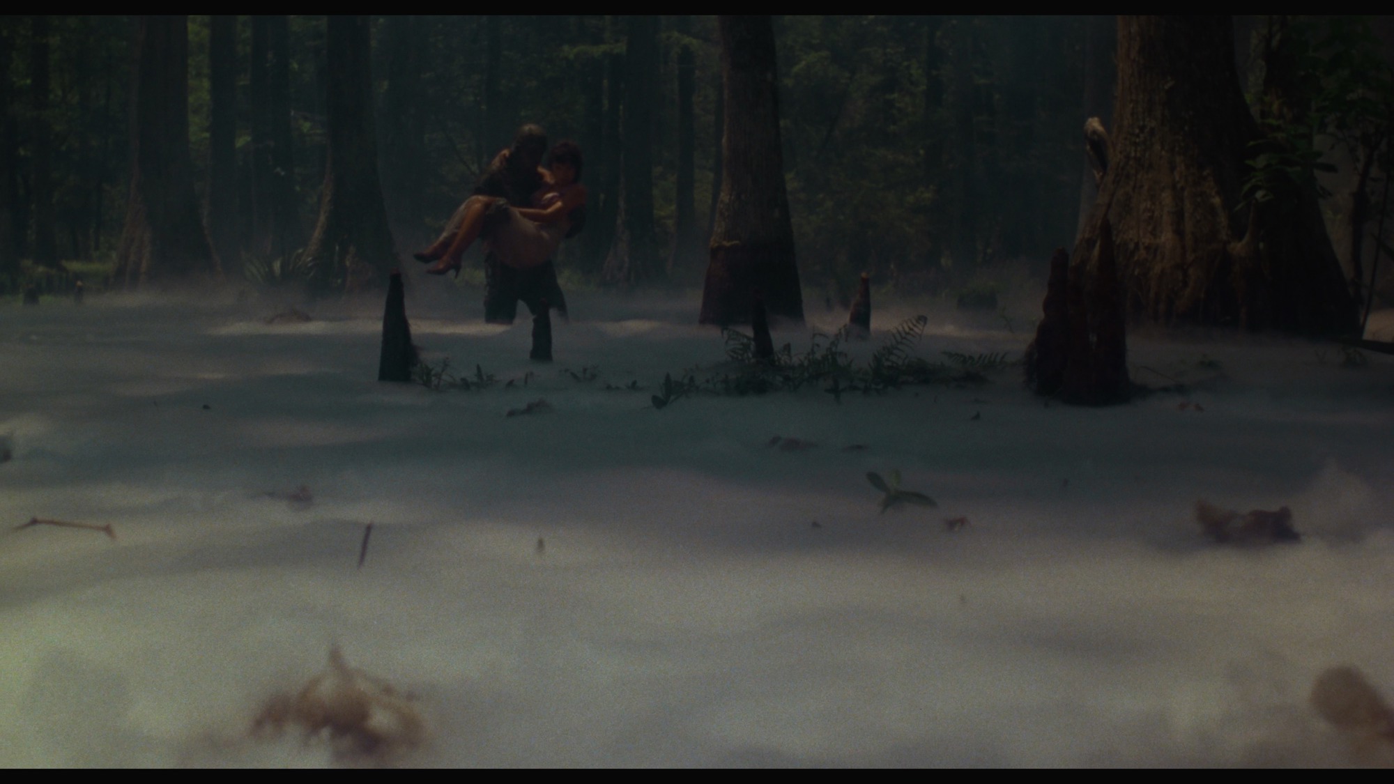 Screen capture from Swamp Thing