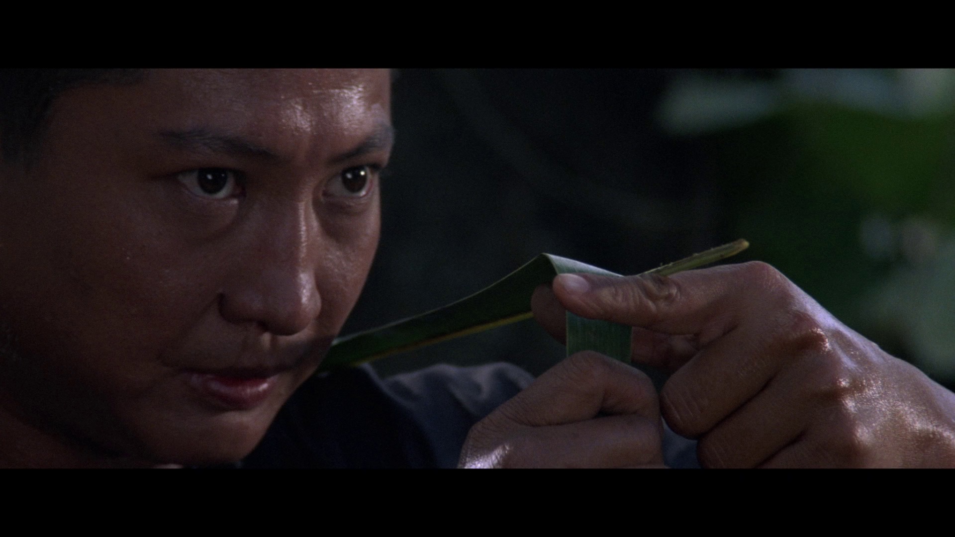 Screen capture from Eastern Condors