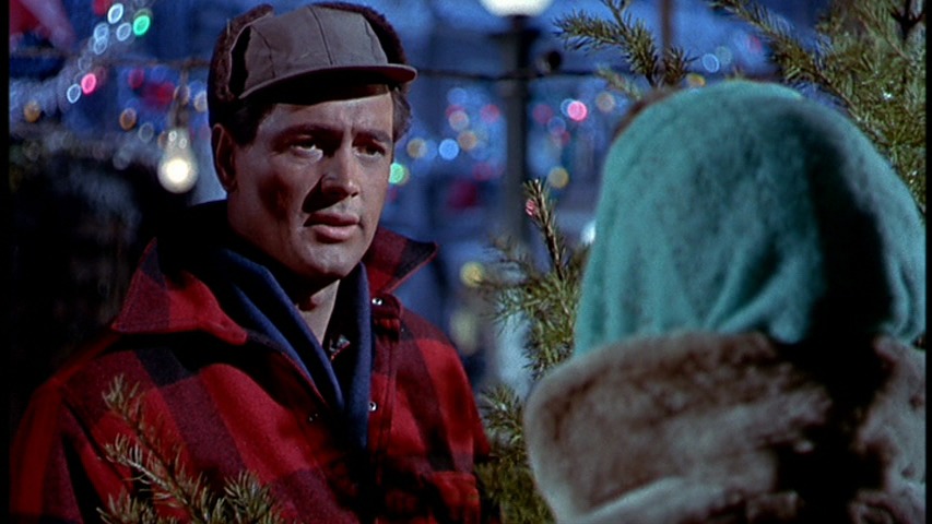 Screen capture from All That Heaven Allows