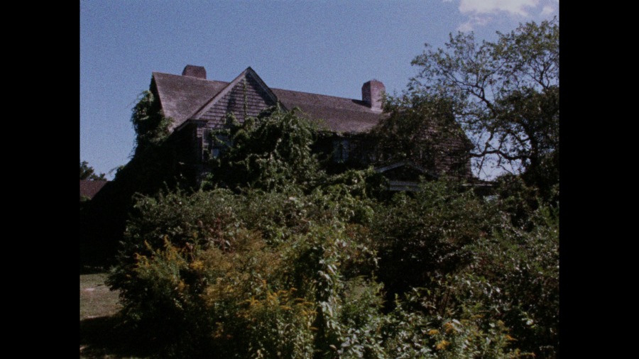 Screen capture from Grey Gardens