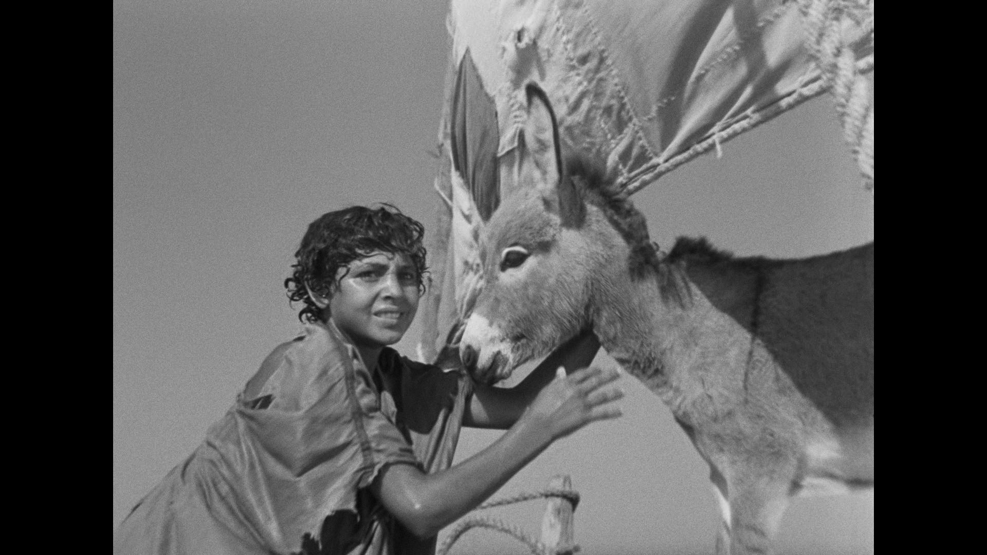 Screen capture from The Red Balloon and Other Stories: Five Films by Albert Lamorisse