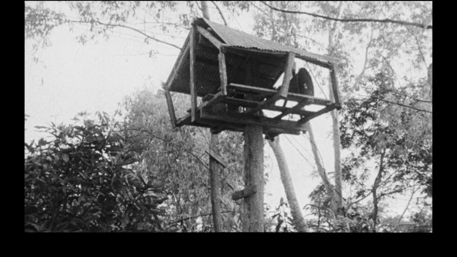 Screen capture from Insiang / Mysterious Object at Noon