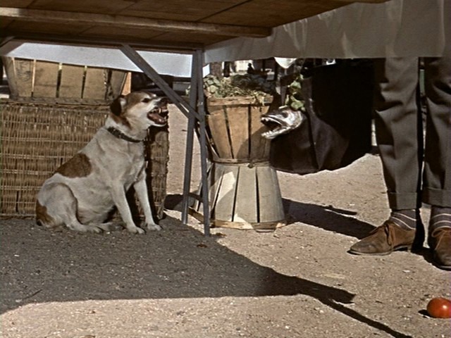 Screen capture from Mon oncle