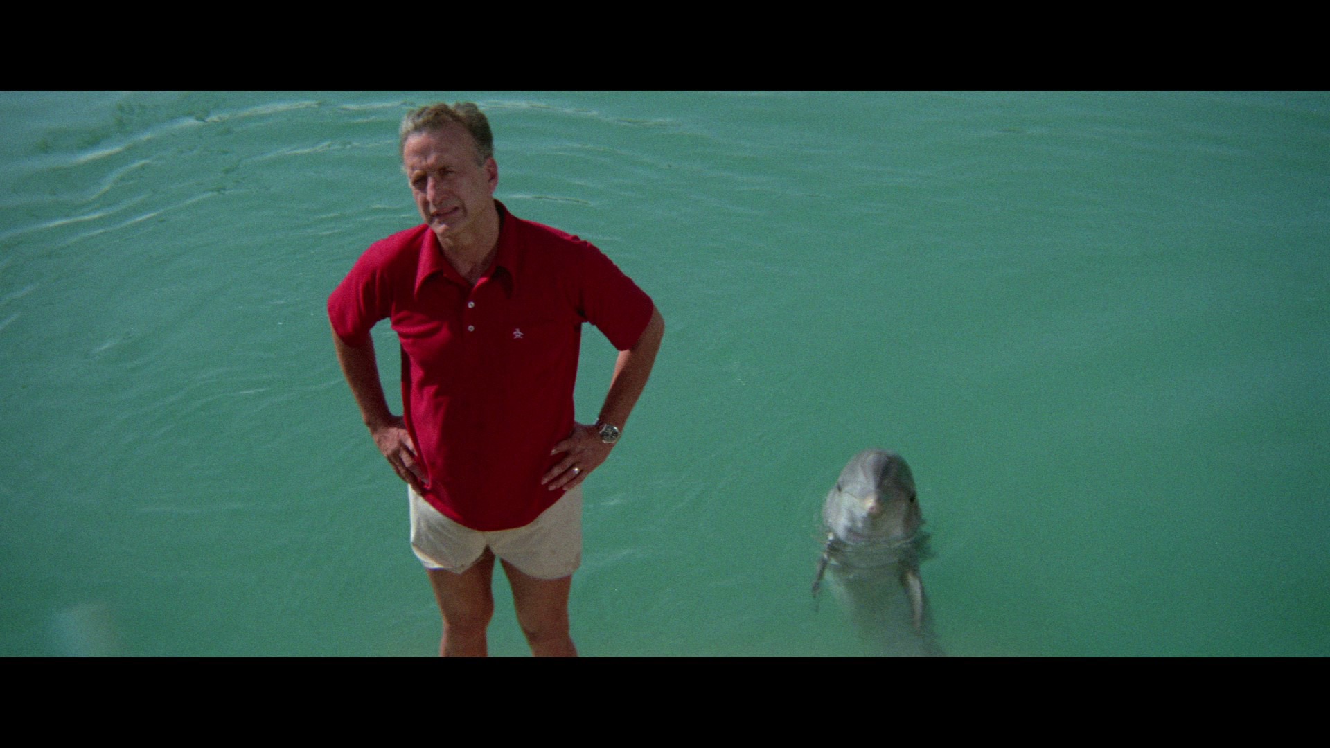 Screen capture from The Day of the Dolphin